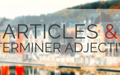 French Articles and Determiner Adjectives
