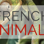 French Animals Vocabulary