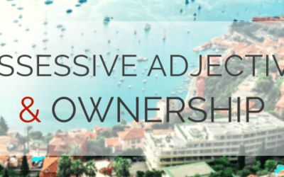 French Possessive Adjectives and Pronouns