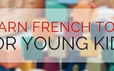Learn French Toys for Young Children