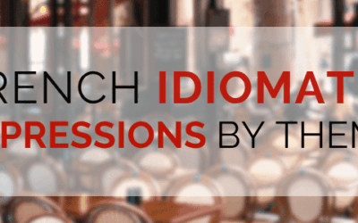 French Idiomatic Expressions by Theme: Food, Animals, Body, and More