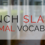 French Slang and Informal Vocabulary